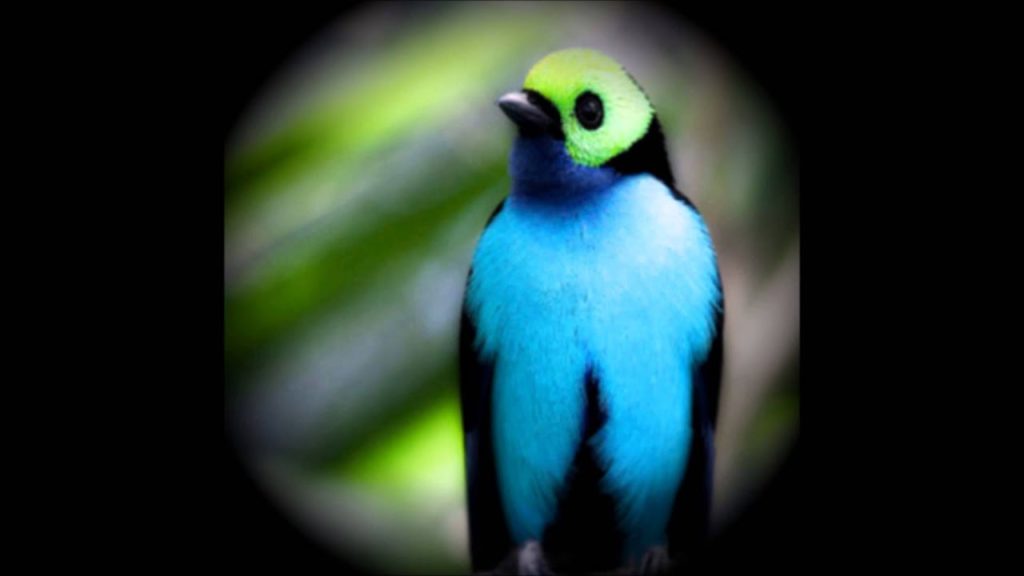 בטחון ומוטיבציה -- דימיון מודרך 28 1648407926 maxresdefault